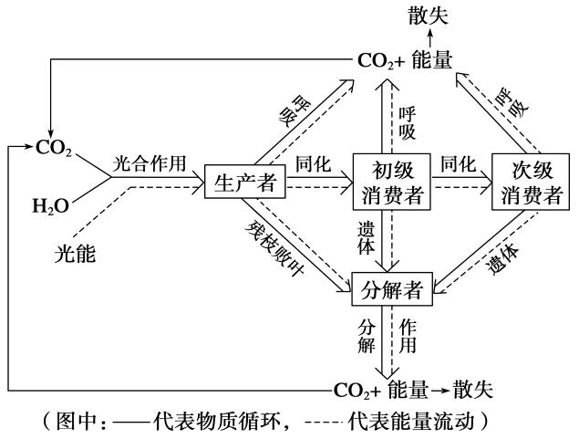 生態系統的物質循環——物質循環的主要特點