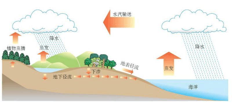 生態系統的物質循環——水循環是物質循環的核心